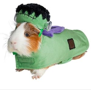 Monster Small Pet Costume